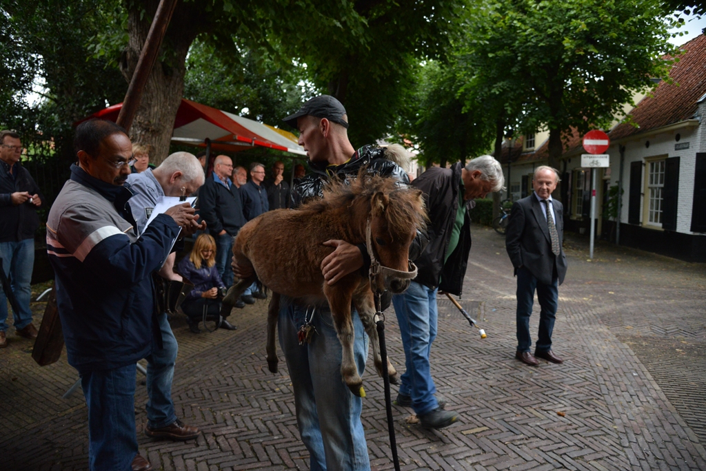De aanvoer van de paarden was bij de slagboom op de hoek Voorstraat-Molenlaan.De marktmeester en dierenarts controleerden de dieren. Foto's | Nelleke de Vries